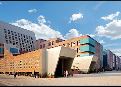 Lovely Professional University, Phagwara, Punjab logo